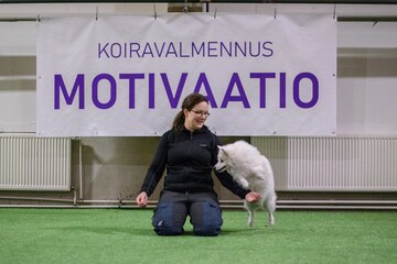 Viikkovalmennus Koiratanssi