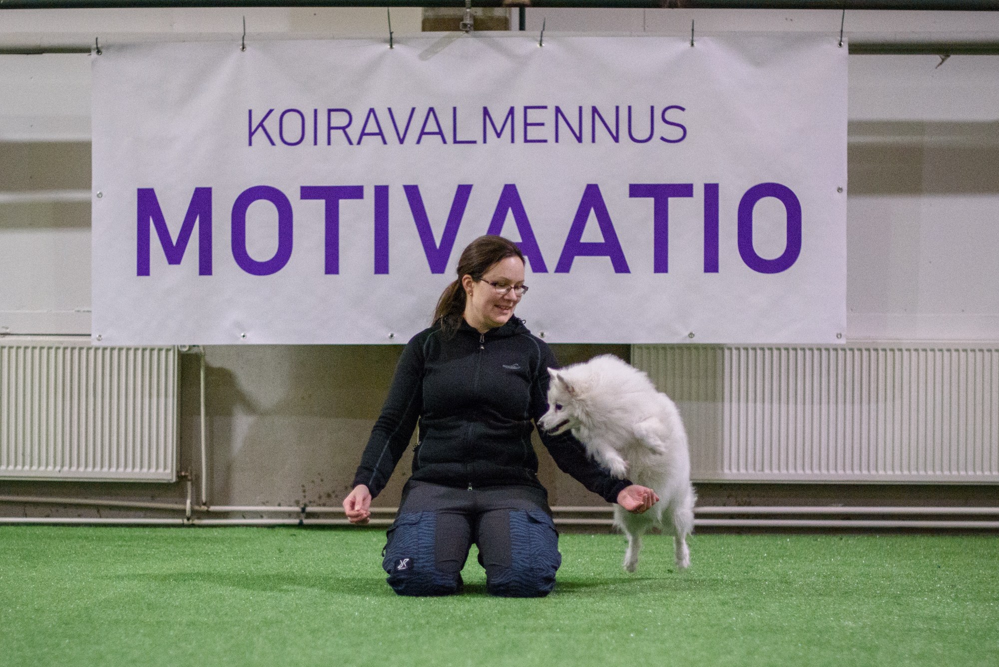 Koiratanssin viikkovalmennus