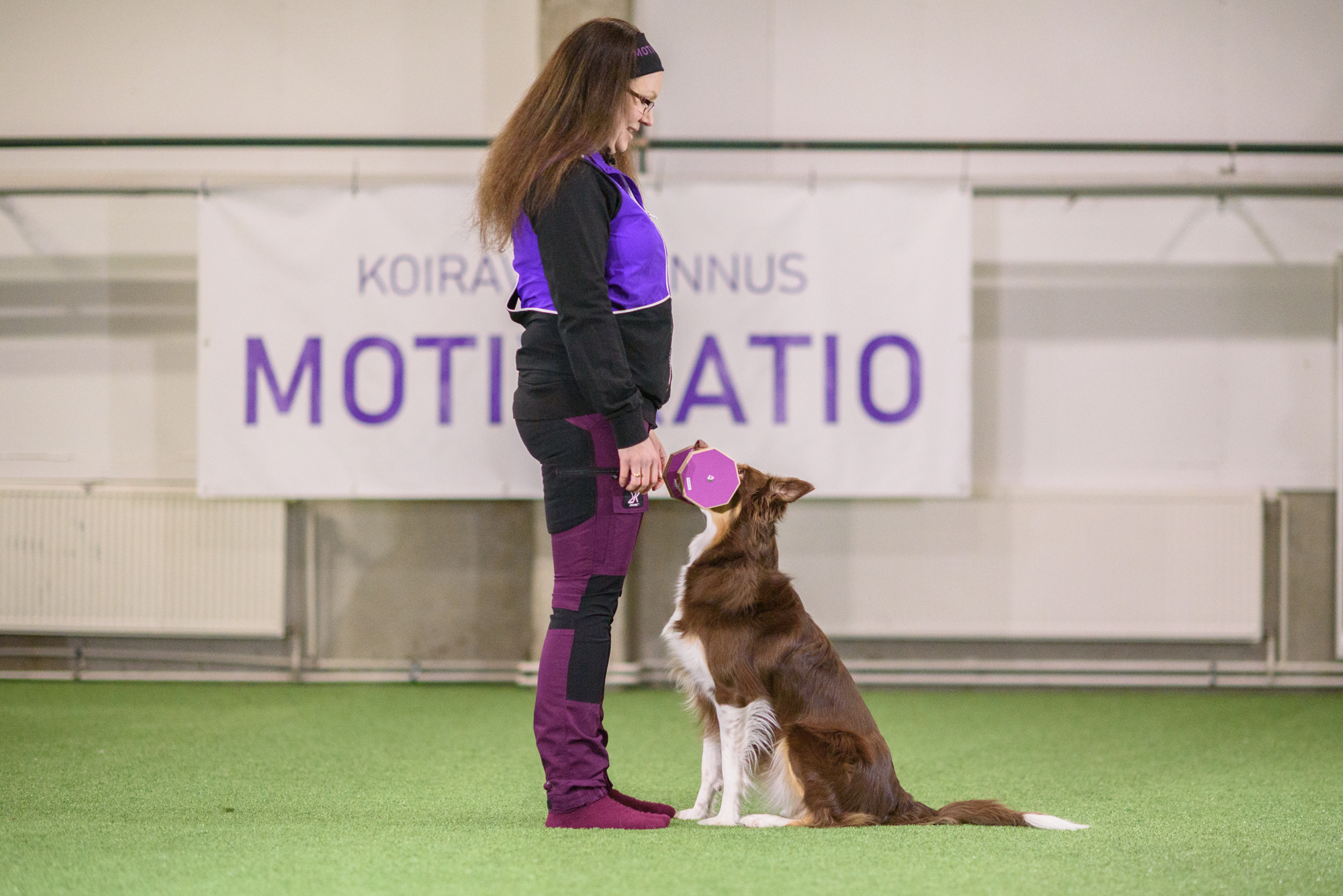 Nuorten Koirien PK-Tottis (6–24 kk)